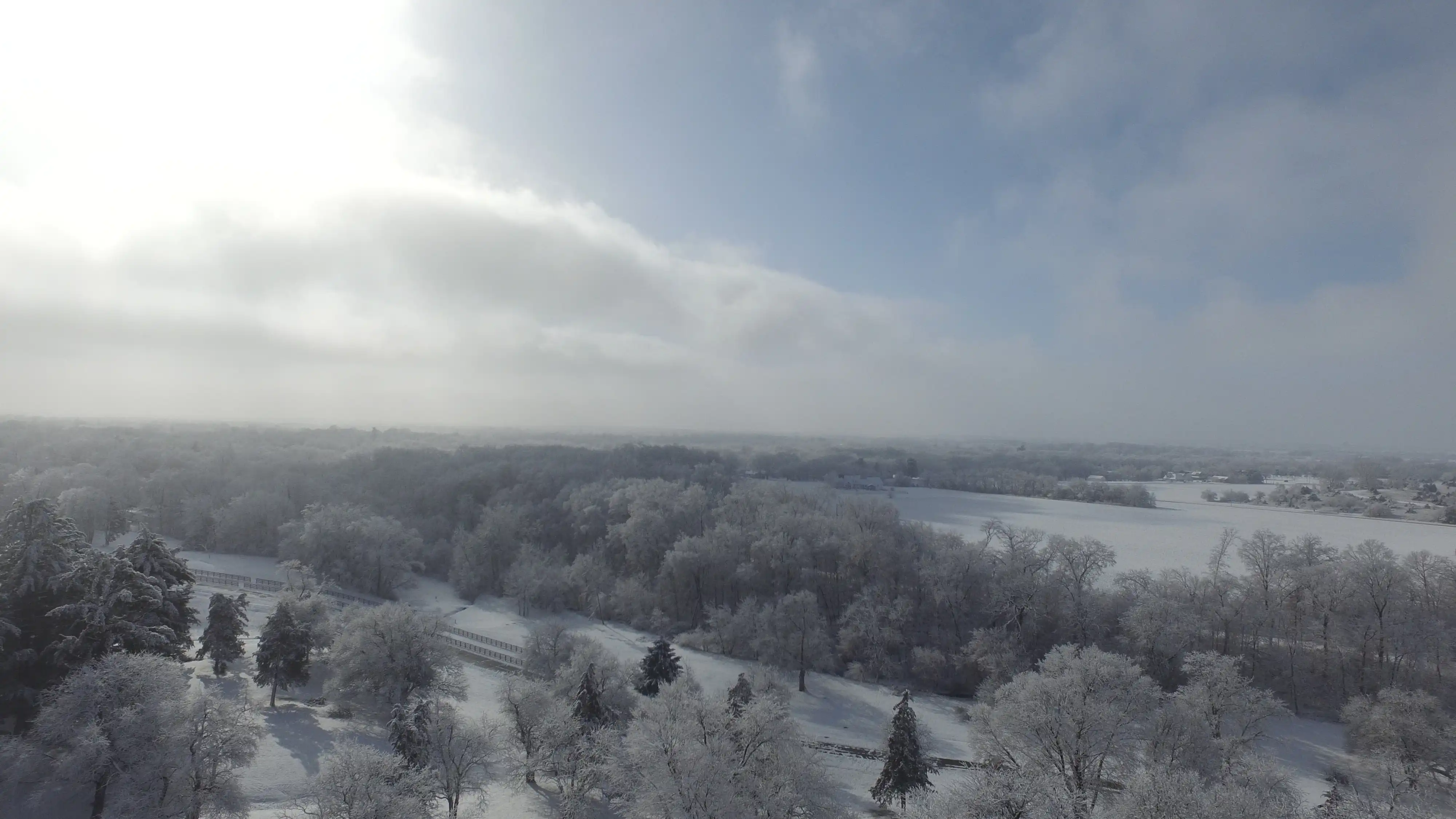 Frozen Park